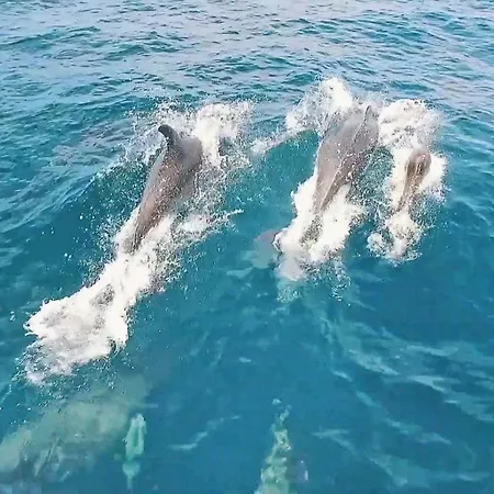 Alegria By Algarve Vacation فيلة البوفيرا